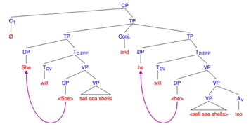 Forward VPE in English. VPE English Example.png