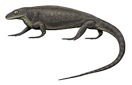 Художнє зображення Aerosaurus wellesi