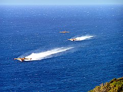 Pélicans 36, 37 et 44, le 31 juillet 2005 dans le golfe de la Revellata (Calvi).