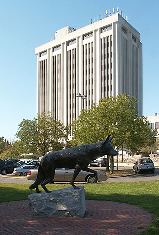 <span class="mw-page-title-main">Hauppauge, New York</span> Hamlet and census-designated place in New York, United States