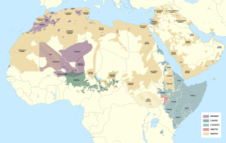 <span class="mw-page-title-main">Afroasiatic languages</span> Large language family of Africa and West Asia