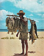 在塞席爾離岸數英里的地方，一位漁夫和他的漁獲物，包括小鯊魚，被鉤在手繩上