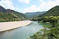 肱川と堤防付近に成立した竹林（愛媛県）