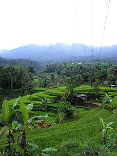 Terrace (earthworks) Terrain formed by tiered platforms