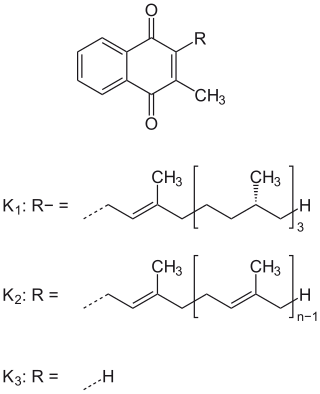 <span class="mw-page-title-main">Vitamin K</span> Fat-soluble vitamers