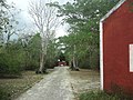 Katanchel, Yucatán.