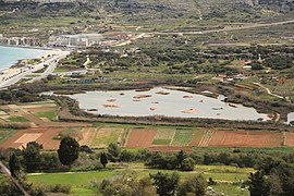 Għadira Nature Reserve