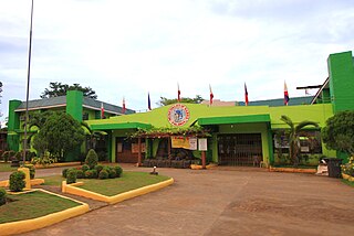 <span class="mw-page-title-main">Narra, Palawan</span> Municipality in Palawan, Philippines