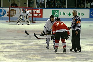 <span class="mw-page-title-main">Pierre Turgeon</span> Canadian ice hockey player (born 1969)