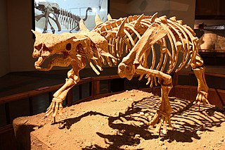 <i>Pinacosaurus</i> Genus of ankylosaurid dinosaur from Late Cretaceous