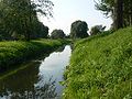 rzeka Rakówka, widok z Parku Olszewskich English: Rakówka river; view from Olszewski Park