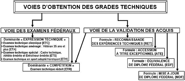 Les voies d’accès à la ceinture noire en France