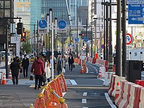 Sidewalk in Tokyo, with bike path.