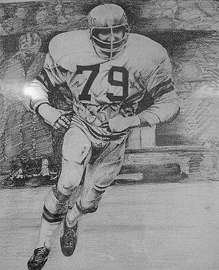 <span class="mw-page-title-main">Steve Chomyszak</span> American football player (1944–1988)