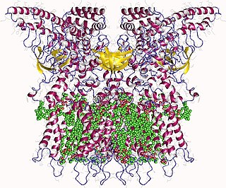 <span class="mw-page-title-main">TRPV3</span> Protein-coding gene in the species Homo sapiens