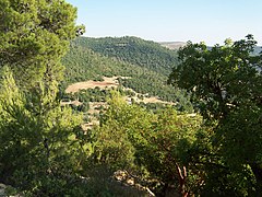 Pădurile înconjoară Ajloun