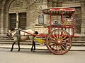 Image 21Kalesa, a traditional Philippine urban transportation, in front of Manila Cathedral entrance (from Culture of the Philippines)