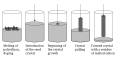 Czochralski process