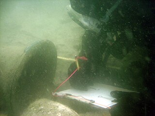 <span class="mw-page-title-main">Maritime archaeology</span> Archaeological study of human interaction with the sea