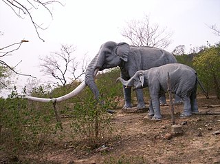 <span class="mw-page-title-main">Shivalik Fossil Park</span>