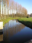 L'Aure à Vaux-sur-Aure.