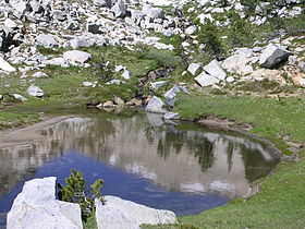 Pond near Upper Graveyard Lake