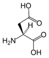 L-asparaginska kislina (Asp / D)