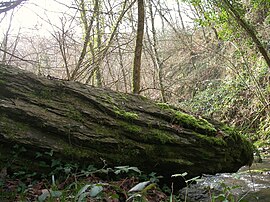 La Belle Roche menhir