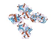 PDB 1xn2 EBI.jpg