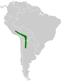 Distribución geográfica del espinero andino.