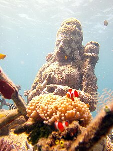 Gambar snorkeling ring Désa Pemuteran