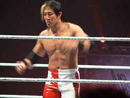 Yamamoto in 2010