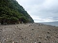 La grève le long du Bois du Loc'h (littoral sud de la Rivière du Faou, sud de la Rade de Brest)