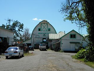 <span class="mw-page-title-main">William and Estella Adair Farm</span> Historic place in Carnation, Washington, US