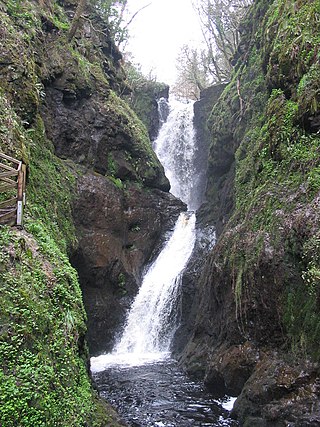 <span class="mw-page-title-main">Glenariff Forest Park</span> Public woodland in County Antrim, Northern Ireland