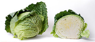 <span class="mw-page-title-main">Cabbage</span> Leafy vegetable in the flowering plant family Brassicaceae