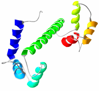 <span class="mw-page-title-main">Calmodulin</span> Messenger protein