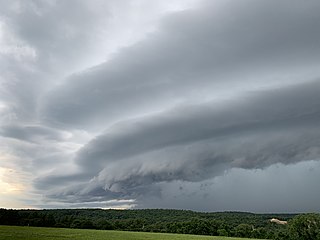 <span class="mw-page-title-main">Mesoscale convective system</span> Complex of thunderstorms organized on a larger scale