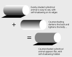 Camouflage diagrams