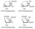 de: Die Stereoisomere der D-Fructose in Haworth-Schreibweise; en: stereoisomers of D-fructose in Haworth projection