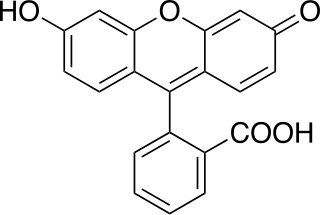 <span class="mw-page-title-main">Fluorescein</span> Synthetic organic compound used as dye and fluorescent tracer