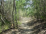 On the hiking trail in Castroville