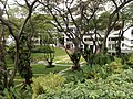 Open space outside Central Library, 2008