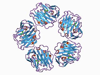 <span class="mw-page-title-main">C-reactive protein</span> Mammalian protein found in humans