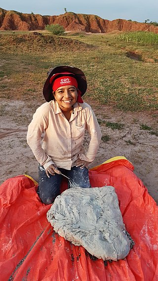 <span class="mw-page-title-main">Sanjukta Chakravorti</span> Geologist and palaeobiologist