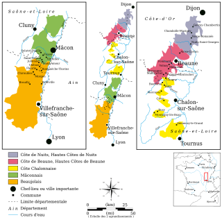 <span class="mw-page-title-main">Burgundy wine</span> Wine made in the Burgundy region in eastern France