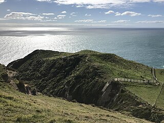 <span class="mw-page-title-main">Wharariki Ecosanctuary</span> Predator-proof sanctuary in New Zealand