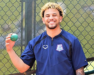 <span class="mw-page-title-main">Yerry Rodríguez</span> Dominican baseball player (born 1997)