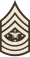 USA SEAC (Army greens).svg