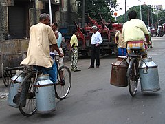 ミルク缶を自転車で運んでいる（インド・コルカタ。2007年）。